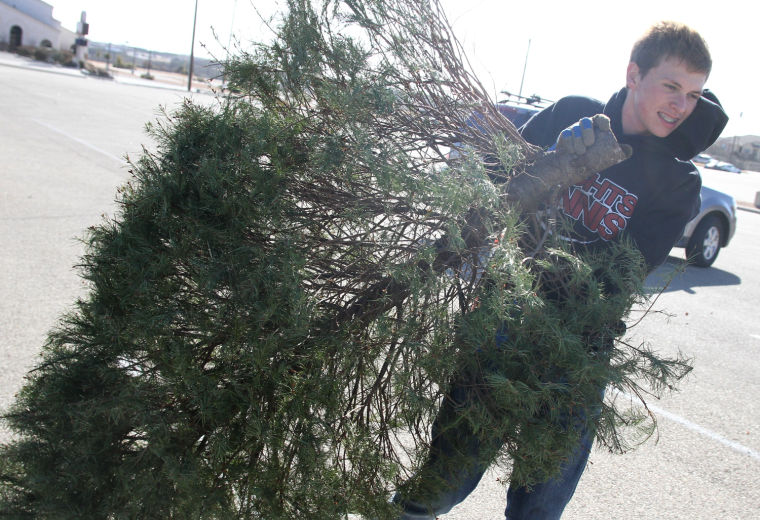 Christmas Tree Recycling